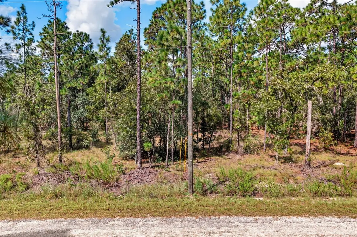 00 SE 130TH CT, Dunnellon, FL 34431
