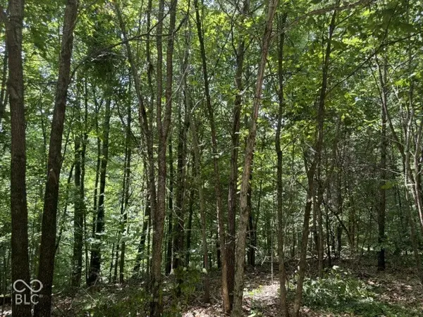 0 Buffalo Pike RD, Freetown, IN 47235