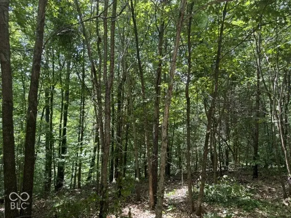 0 Buffalo Pike RD, Freetown, IN 47235