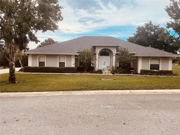 11413 ALAMEDA SANDRA DR, Clermont, FL 34711