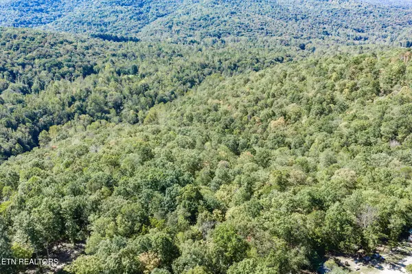 8 Buffalo Cove Lane, Jamestown, TN 38556