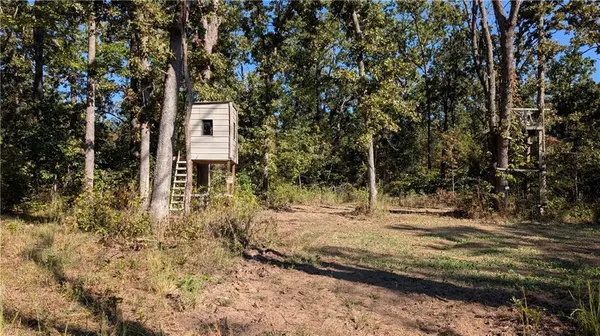 5740B 731 RD, Collins, MO 64738