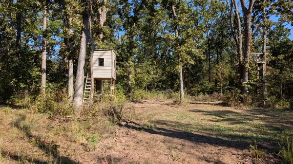 000 SE 731 RD, Collins, MO 64738