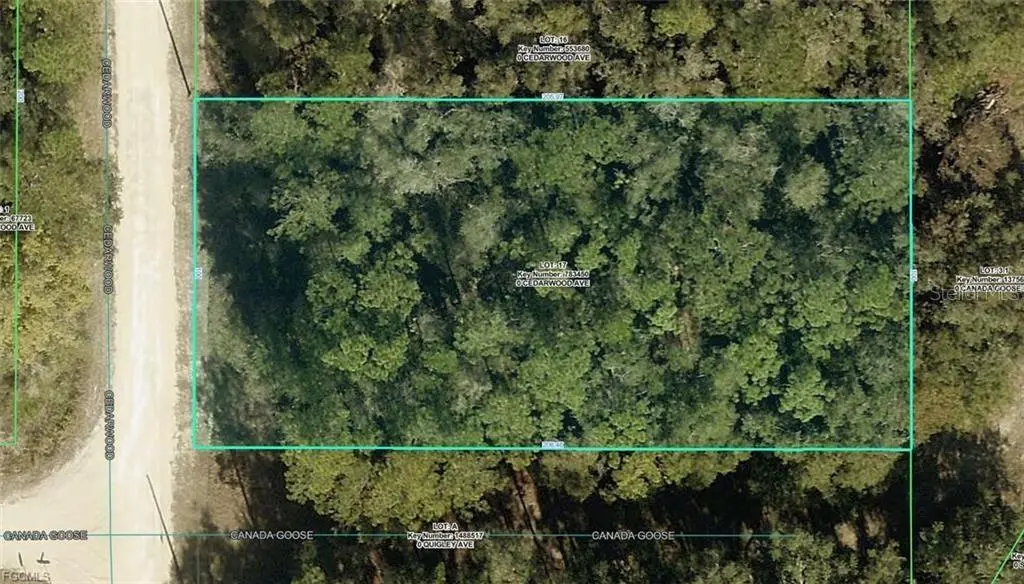 R01-221-17-3357-5520-0170 CEDARWOOD AVE, Weeki Wachee, FL 34614