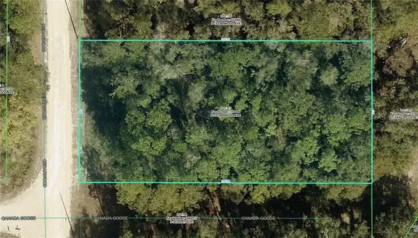 R01-221-17-3357-5520-0170 CEDARWOOD AVE, Weeki Wachee, FL 34614