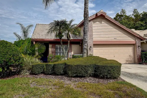 3609 DARSTON ST, Palm Harbor, FL 34685