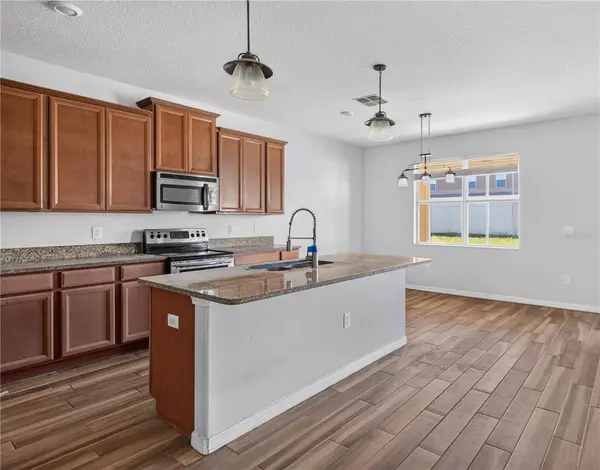 10919 RAINBOW PYRITE DR, Wimauma, FL 33598