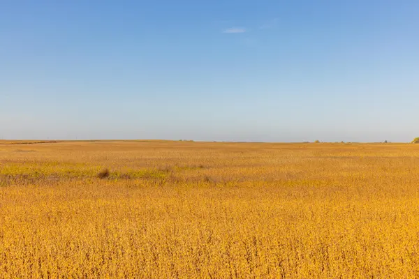 TBD 46 St SE Lot 1, Alice, ND 58031