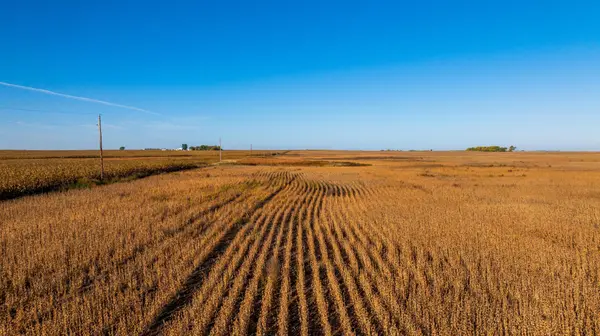 TBD 46 St SE Lot 2, Alice, ND 58031
