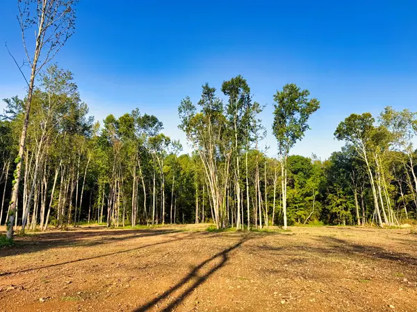 0 Birdsong Road, Holladay, TN 38341