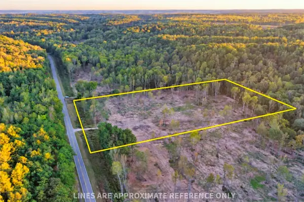 0 Birdsong Road, Holladay, TN 38341