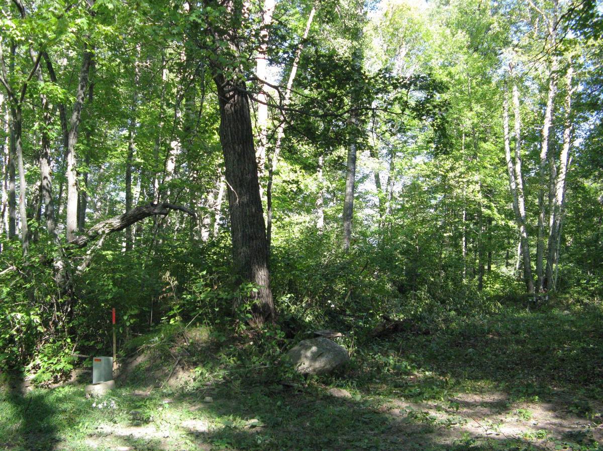 TBD Alpine DR, Breezy Point, MN 56472
