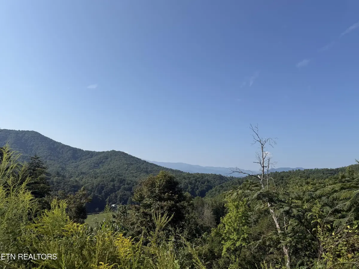 4228 Wears Valley Rd, Sevierville, TN 37862