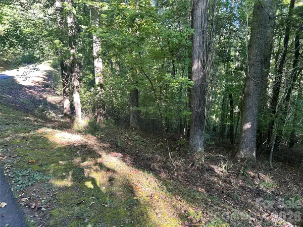 573 Solomon CIR #34, Hendersonville, NC 28739