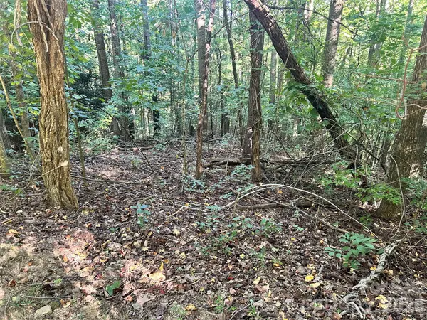 TBD Mt Hebron RD #36, Hendersonville, NC 28739