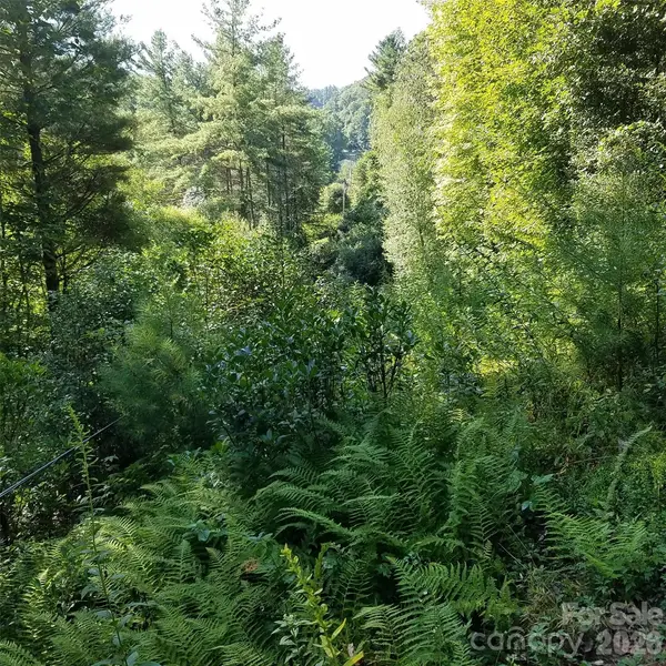 0 Little Gap RD, Fleetwood, NC 28626