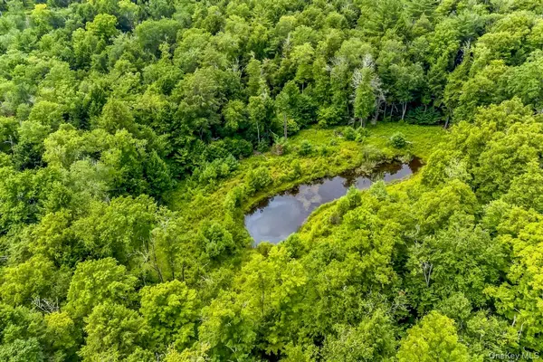 668 Starlight RD, Monticello, NY 12701