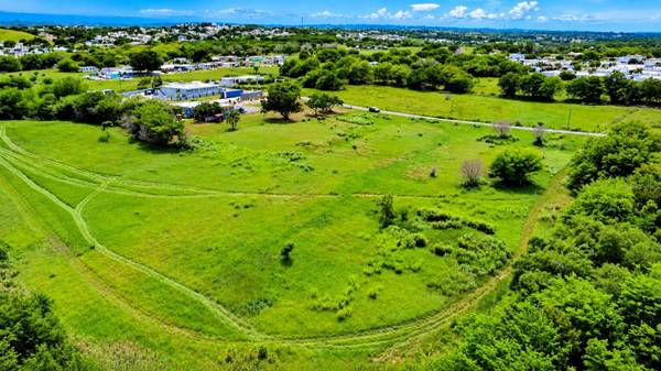Km 13 PR SR 493, Arecibo, PR 00612