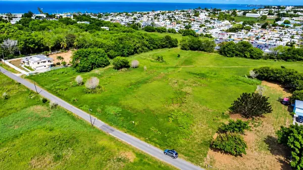 Km 13 PR SR 493, Arecibo, PR 00612