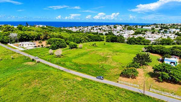 Km 13 PR SR 493, Arecibo, PR 00612