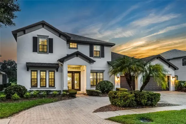 12404 EAGLES ENTRY DR, Odessa, FL 33556