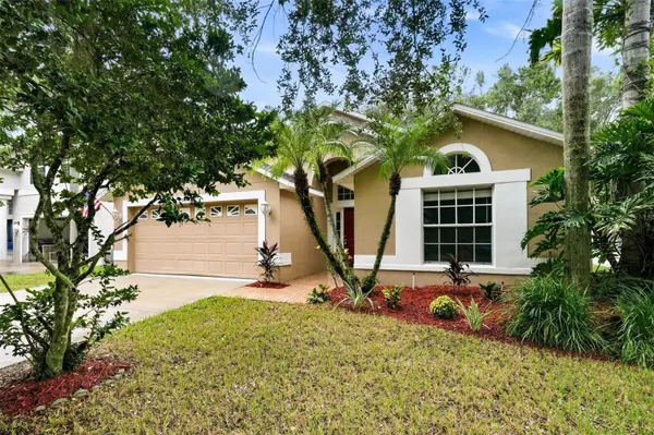 8608 BUTTONBUSH CT, Tampa, FL 33647