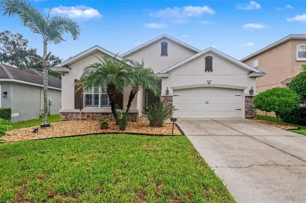 10710 SHADY PRESERVE DR, Riverview, FL 33579