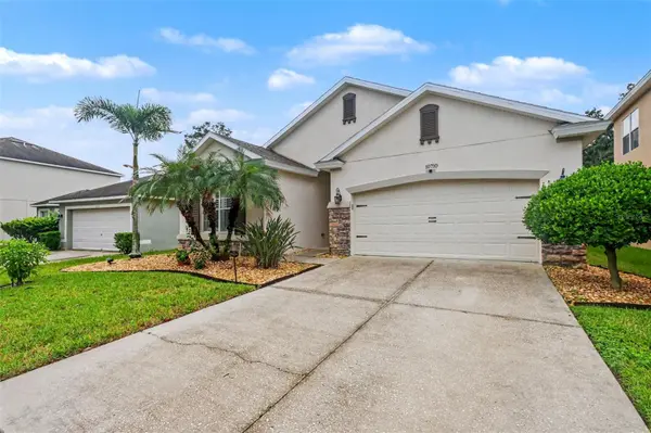 10710 SHADY PRESERVE DR, Riverview, FL 33579