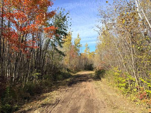 12168 250th ST, Milaca, MN 56353