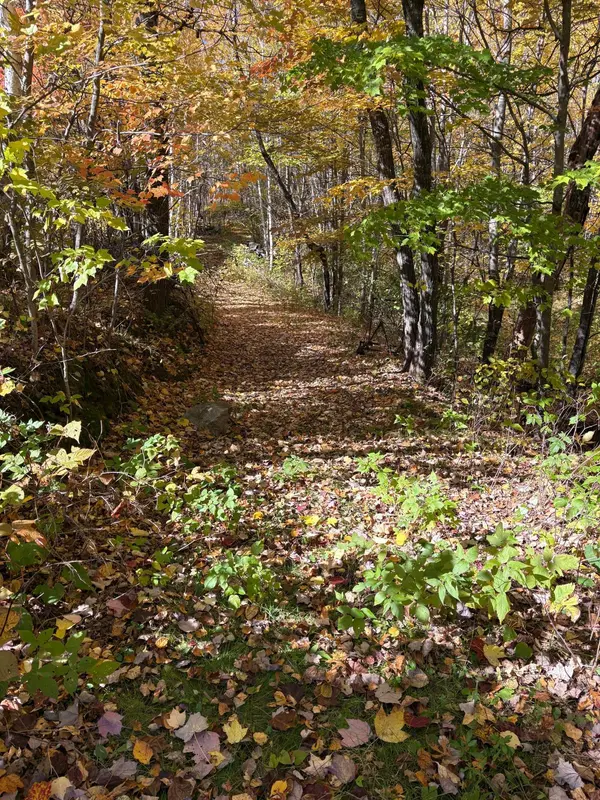 5038 Lake Washburn RD NE, Outing, MN 56662