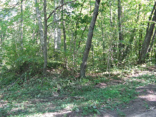 TBD Alpine DR, Breezy Point, MN 56472
