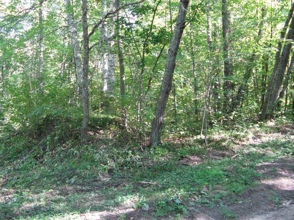 TBD Alpine DR, Breezy Point, MN 56472