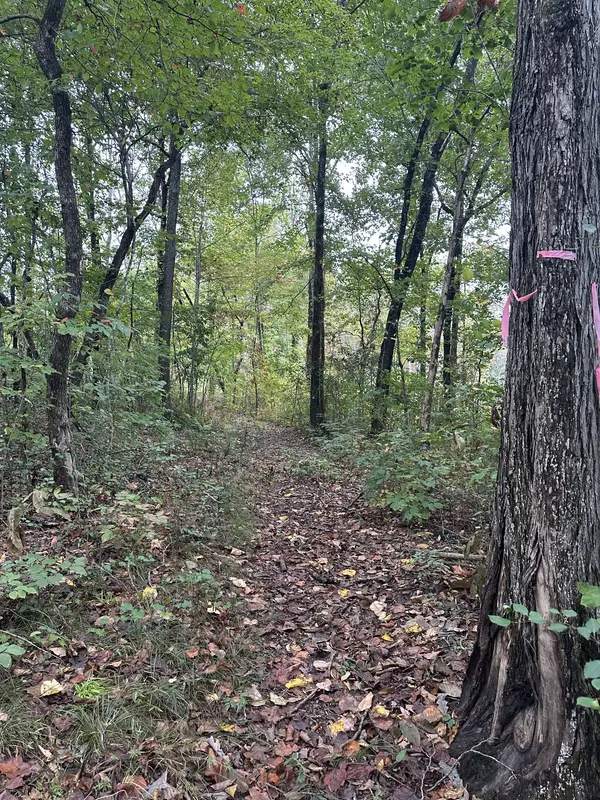 0 Timber Ln, Mcminnville, TN 37110