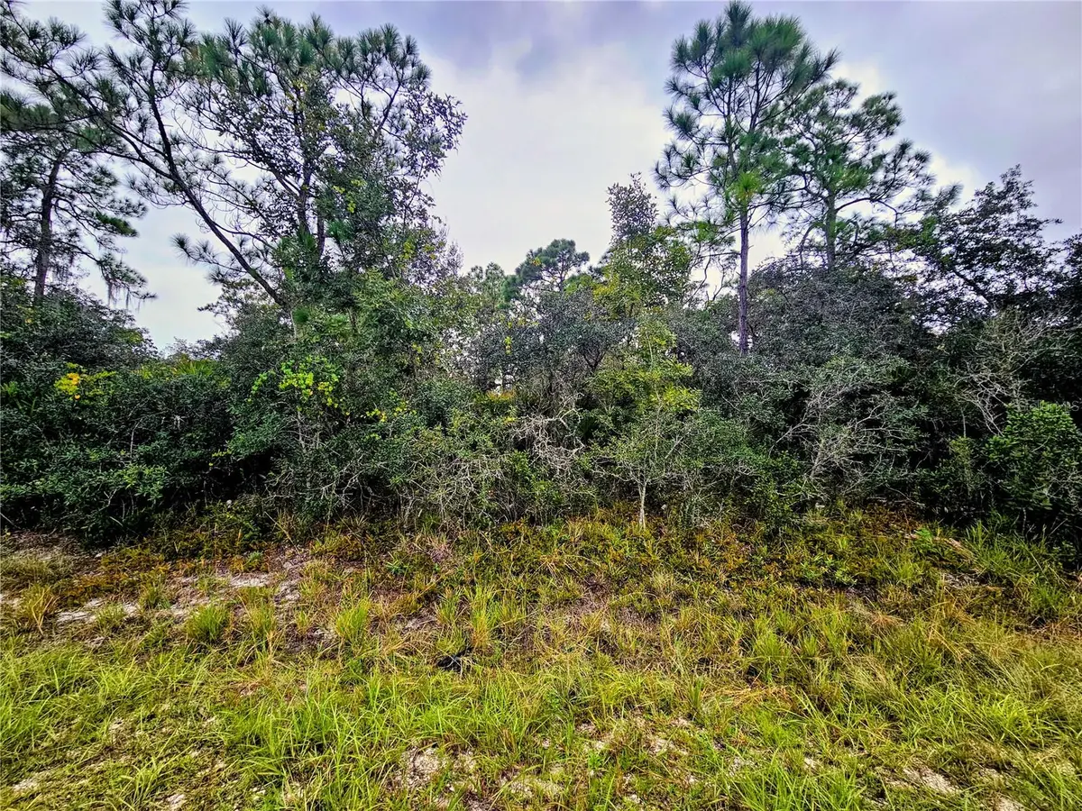 105 BRONSON ST NW, Lake Placid, FL 33852