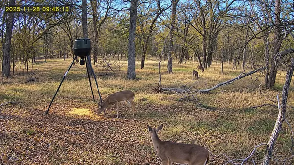 10885 S Us Highway 183, Lockhart, TX 78644