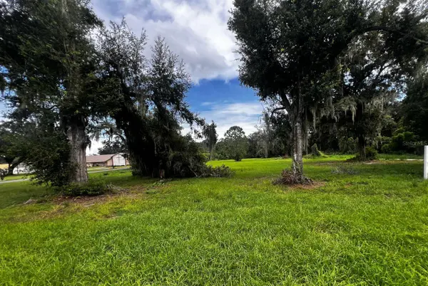 1308 N SHANNON AVE, Plant City, FL 33563
