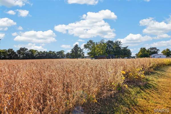 Lot 1 E Back ST, Hecker, IL 62248