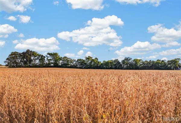 Lot 2 E Back ST, Hecker, IL 62248