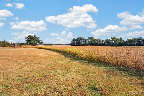 Lot 2 E Back ST, Hecker, IL 62248