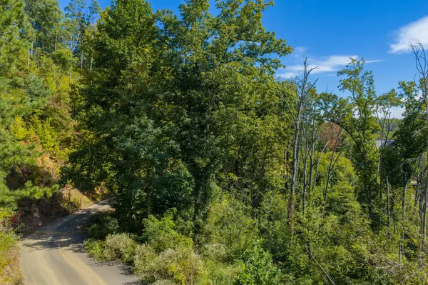 0 Spurling Road, Sevierville, TN 37862