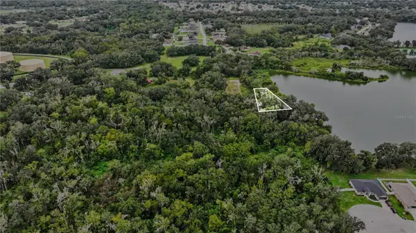 ARNAZ DR, Mulberry, FL 33860