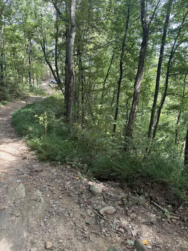 0 Blalock Dr #W, Turtletown, TN 37391