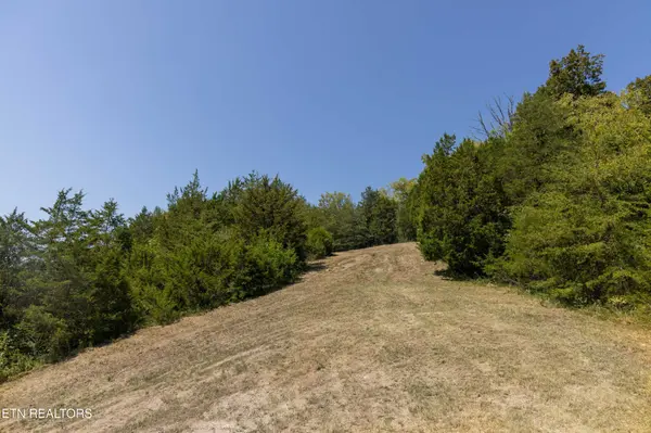 4 N Knob Creek Rd, Seymour, TN 37865