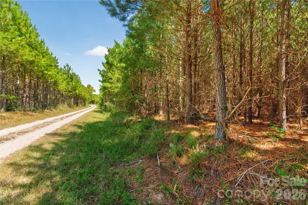 0000 Narrow Bridge RD #3, Chester, SC 29706