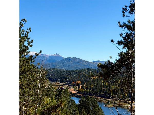 31 Pike View, Divide, CO 80814
