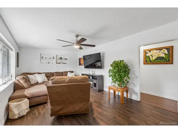 946 Raleigh, Denver, CO 80204