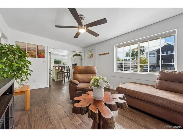 946 Raleigh, Denver, CO 80204