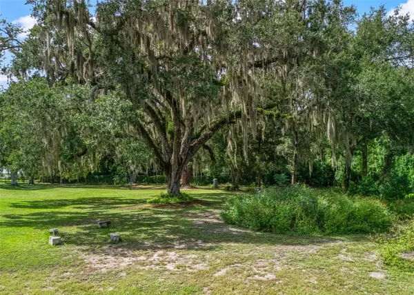 12530 SE 142ND AVE, Ocklawaha, FL 32179
