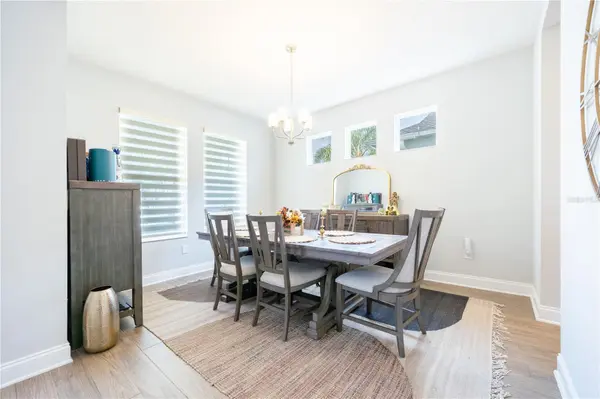 1316 SOUTHERN SUN DRIVE, Oakland, FL 34787