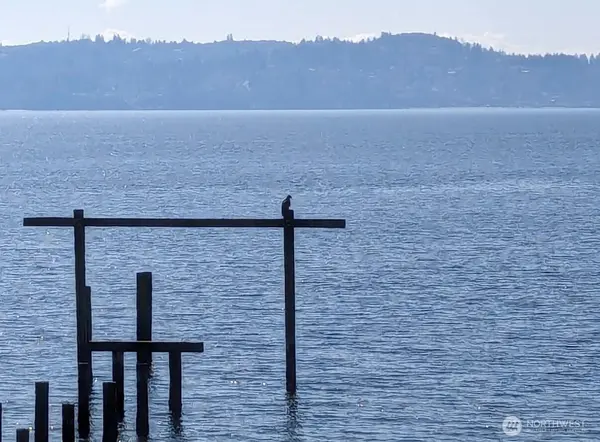 25724 Gold Beach DR SW, Vashon, WA 98070